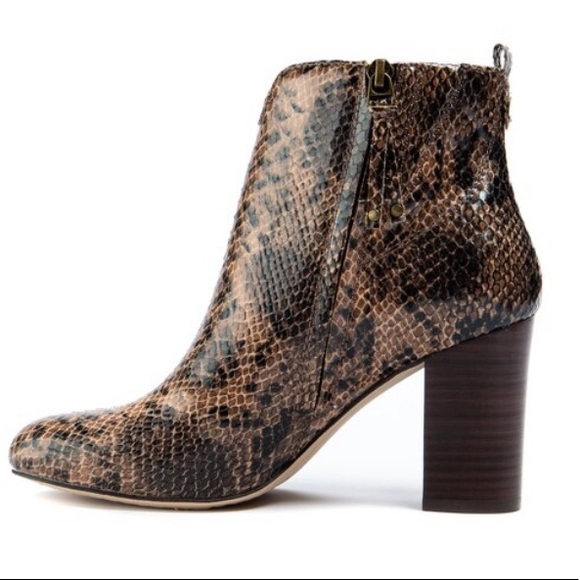 Snakeskin Lucca Lane Avra Booties 🐍 - Picture 2 of 8